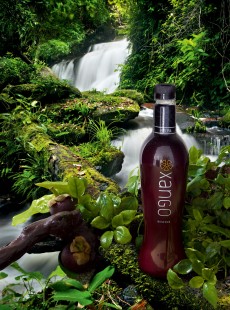 xango-jus-de-mangoustan-antioxydant-1127